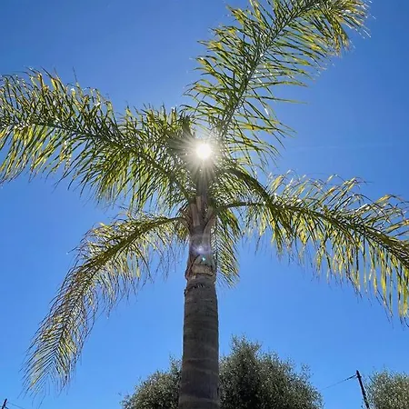 Villa Syagrus - Easy Nizza